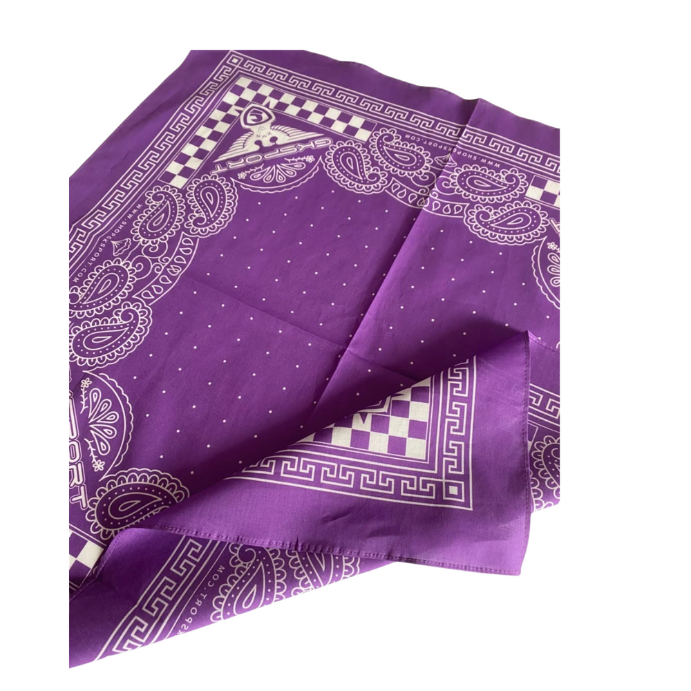 GKSPORT Purple Paisley Bandana