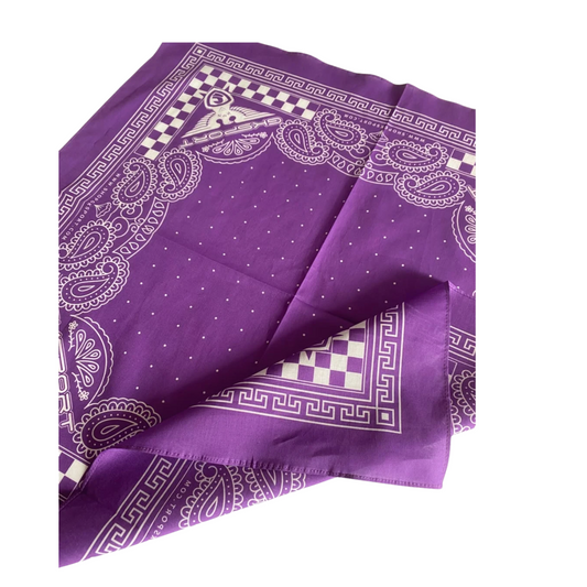 GKSPORT Purple Paisley Bandana